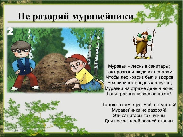 Раскраска поведение в лес Раскраска поведение в лес